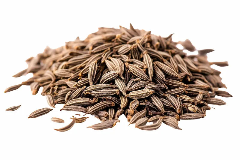Caraway Seeds in Ayurveda Benefits, Uses, and Side Effects